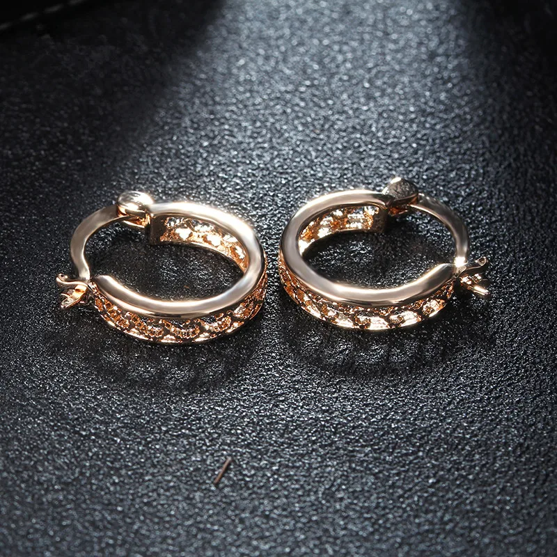 Small Gold Hoop Earrings for Women