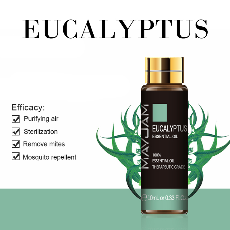 Eucalyptus