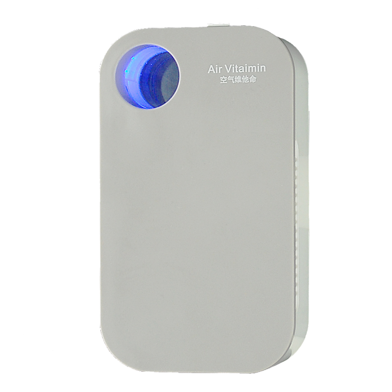 Dual-Purpose Air Purifier Ionizer